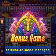 fortuna de sasha meneghel